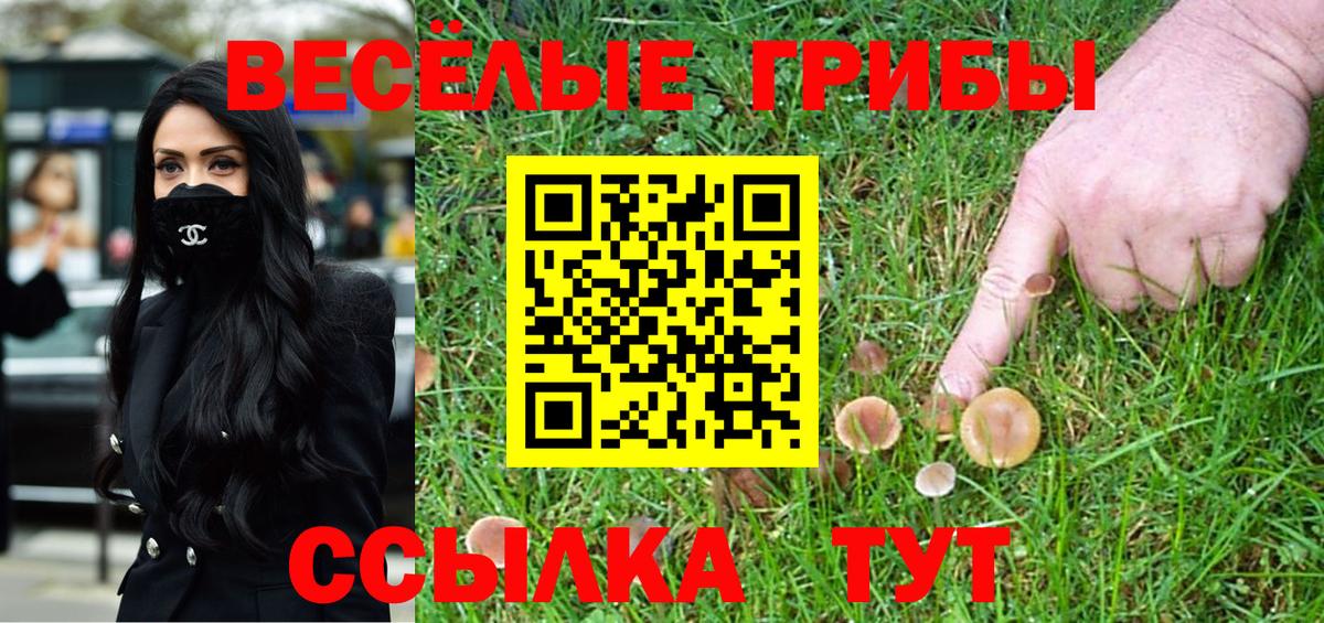 Псилоцибиновые грибы мухоморы Тихорецк