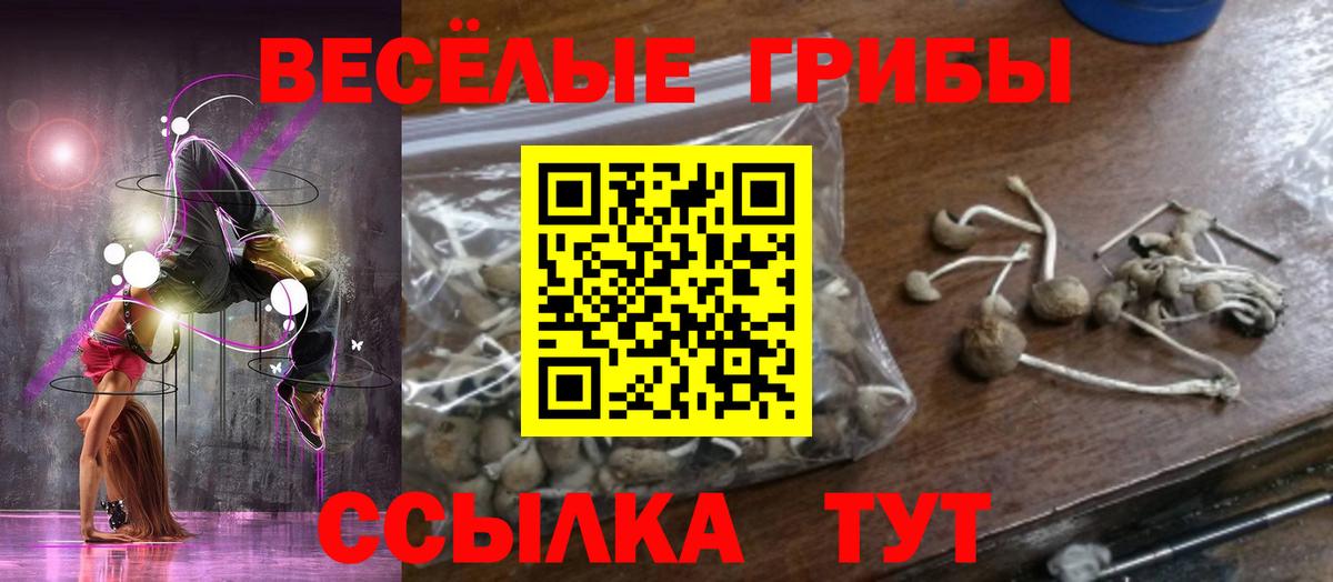 Тихорецк  купить наркотики сайты  Вход с VPN  Галлюциногенные грибы прущие грибы 